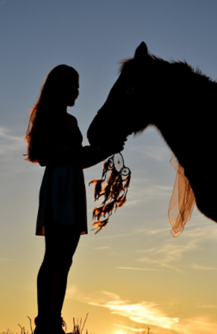 werken aan meer connectie met je paard